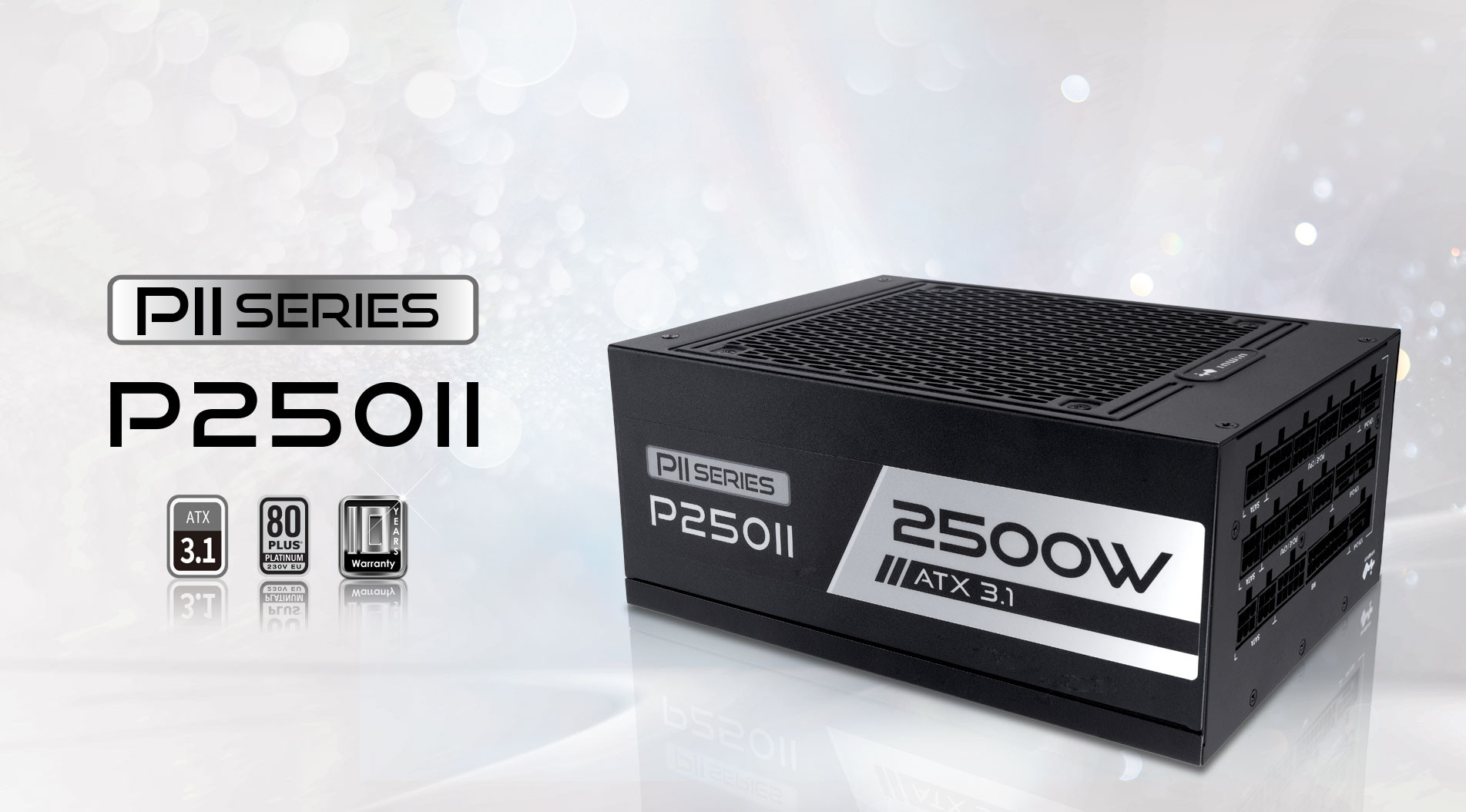 P205II banner-1